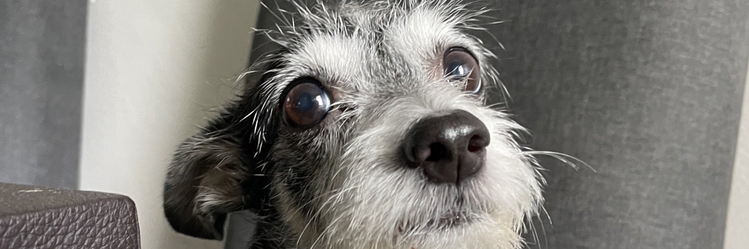 imjustaddy's profile banner image