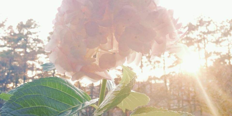 nylovely93's profile banner image