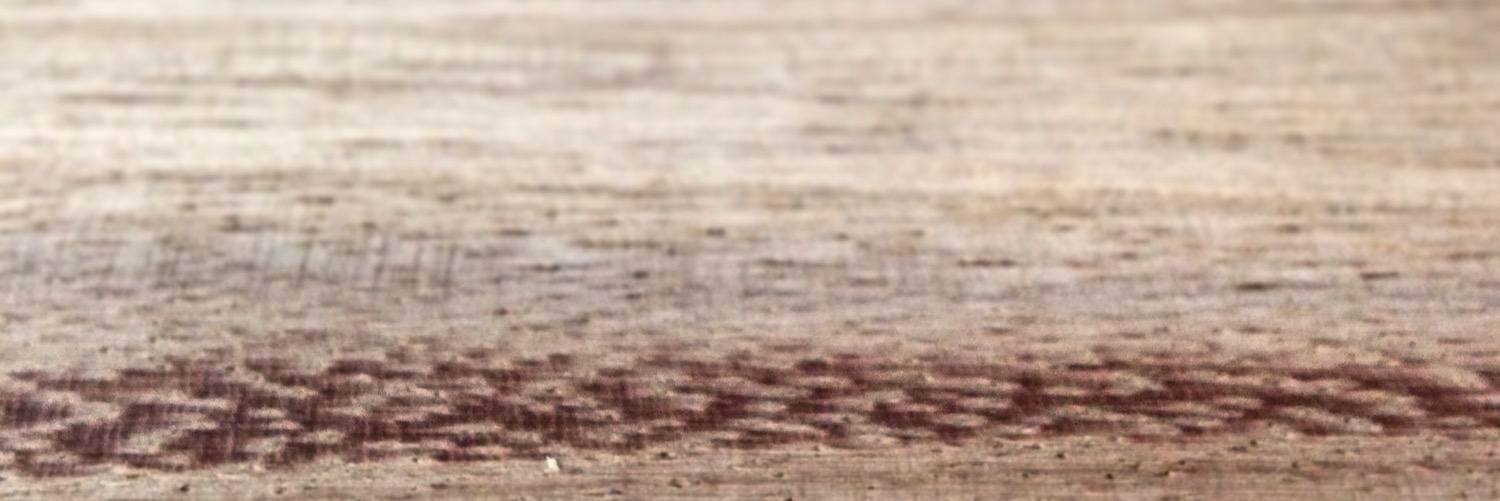 d_timoteo's profile banner image