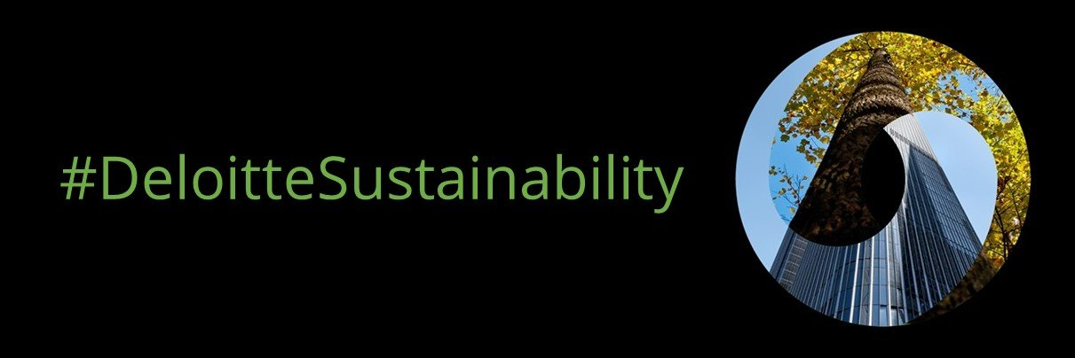 Jennifer Steinmann banner