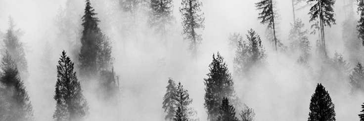 beats4Justin's profile banner image