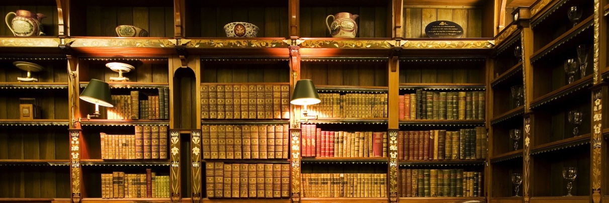 Adail Retamal banner