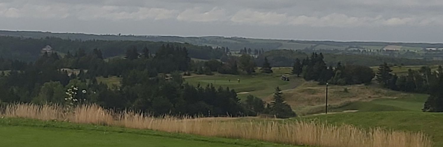 peigolfer's profile banner image