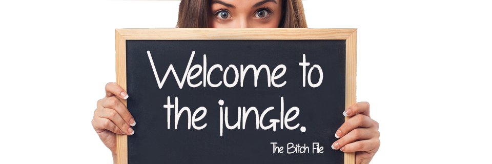 TheBitchFile's profile banner image