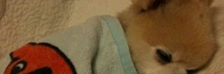 paredado's profile banner image