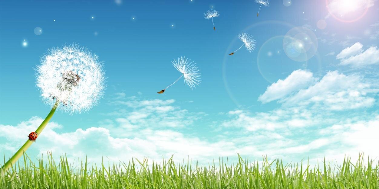 tryanapuper's profile banner image