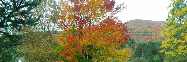 MrsLeonENL Profile Banner