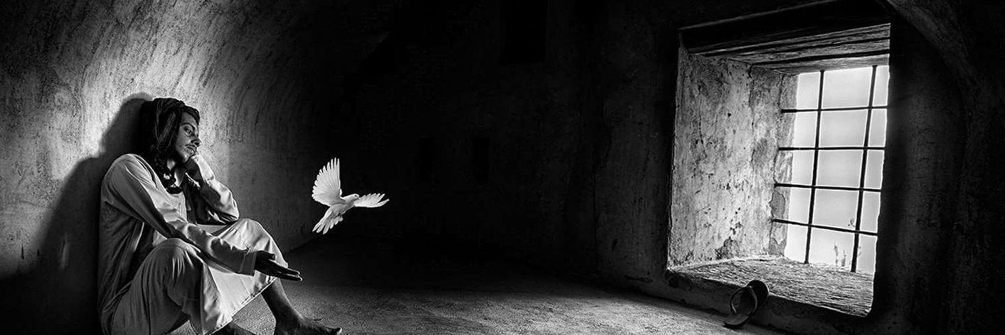 Ali M. Hammad MD 🫁 banner