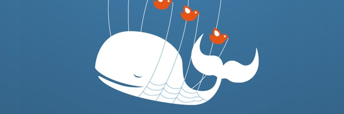 jasontho's profile banner image
