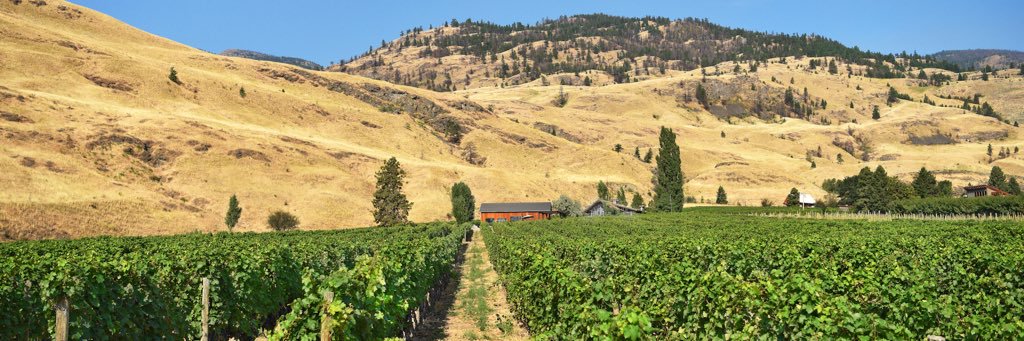 Rust Wine Co. banner