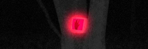 5 possums in a suit banner