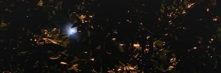 aasmz88's profile banner image