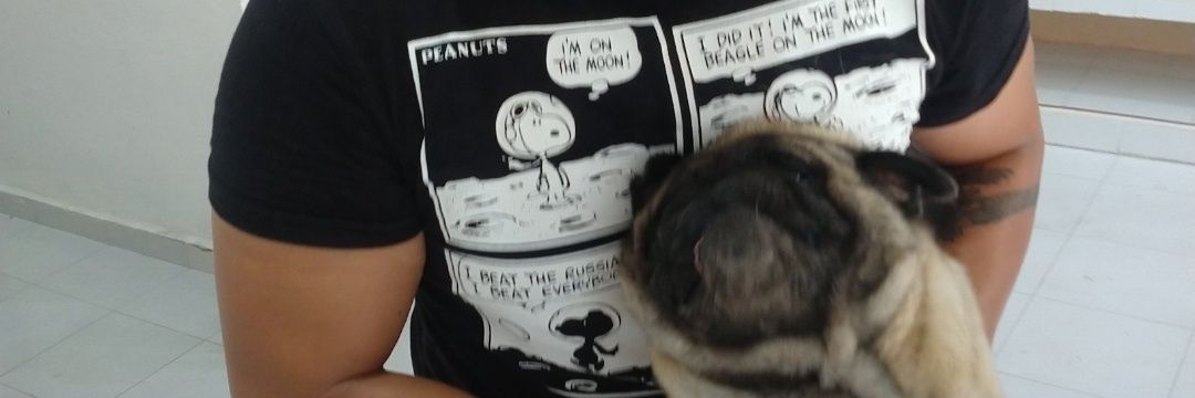 __Prismo's profile banner image
