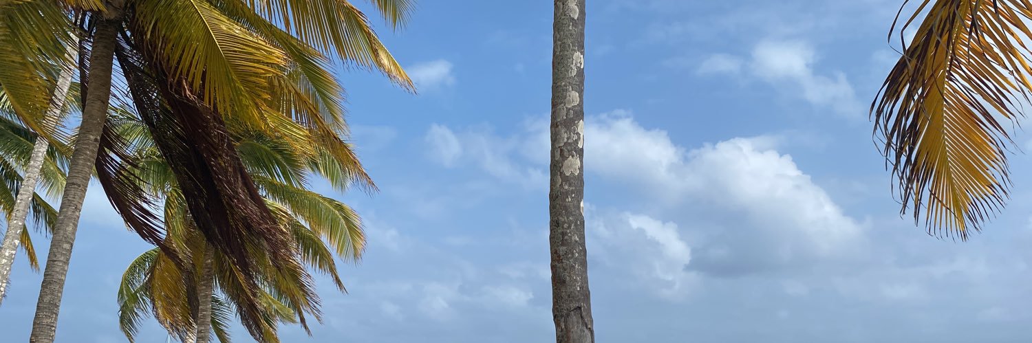 mapoperez's profile banner image