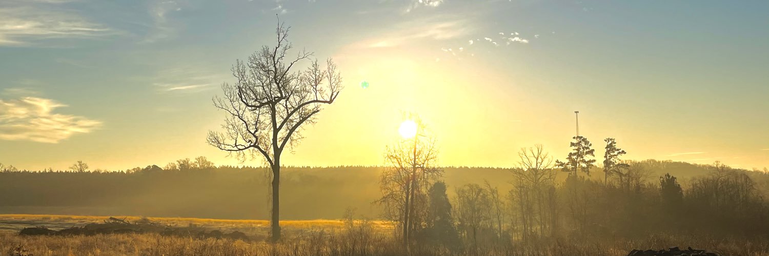 rolandmbanks's profile banner image