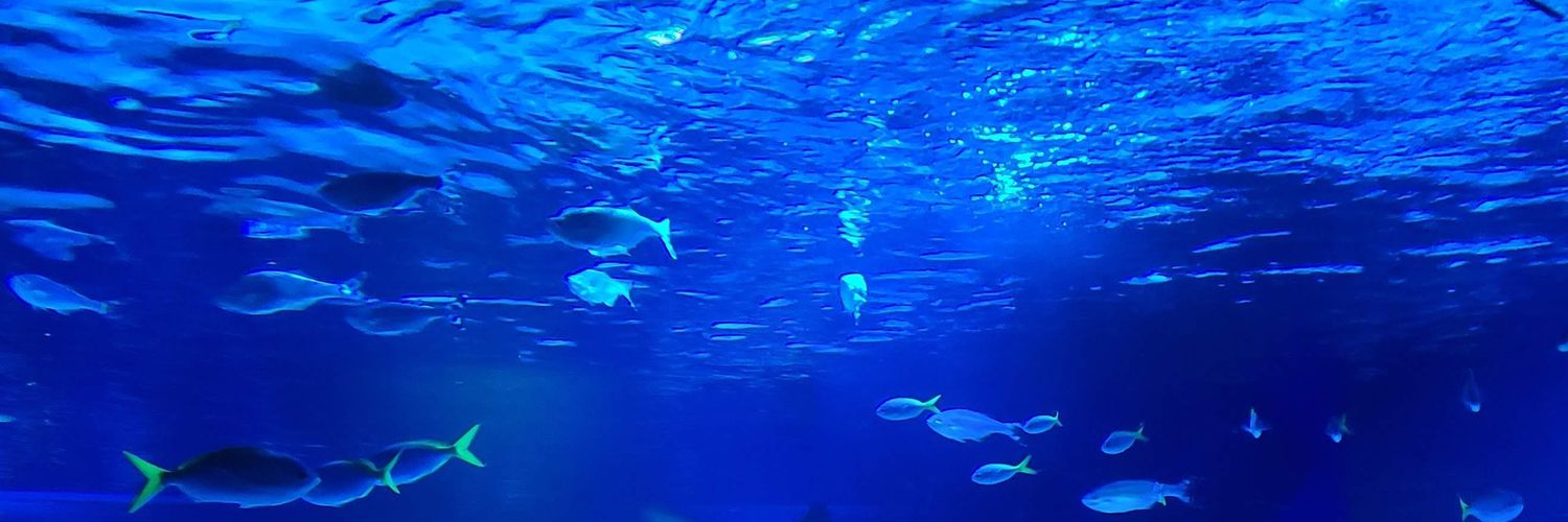 nao（レモンソータママ🍋） banner