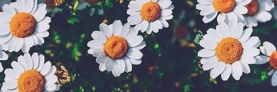 Miliiq1's profile banner image