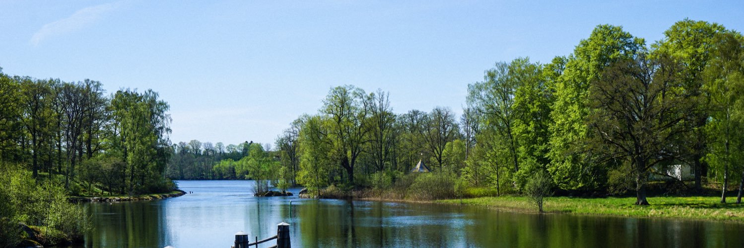 Spineek's profile banner image