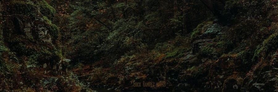 leaherrg's profile banner image