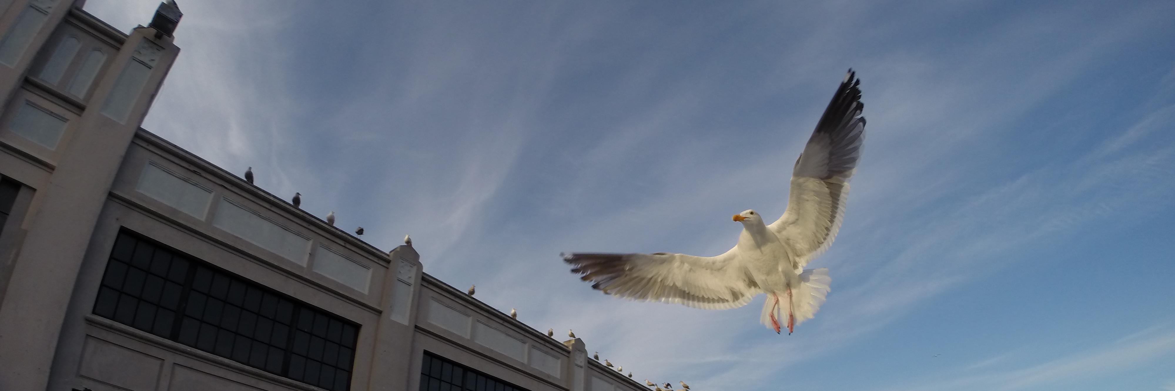 Juan Pablo Paradelo  banner