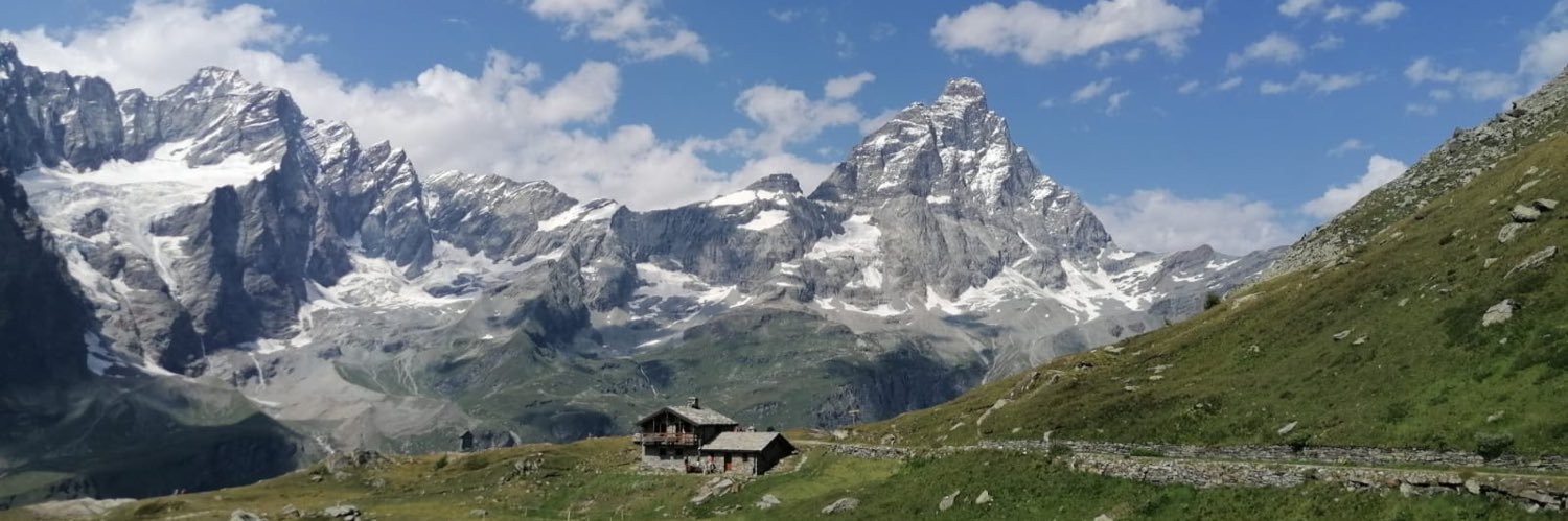 Mario Bernasconi banner