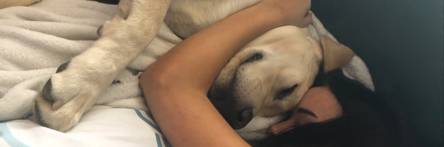 chloedarlingg's profile banner image