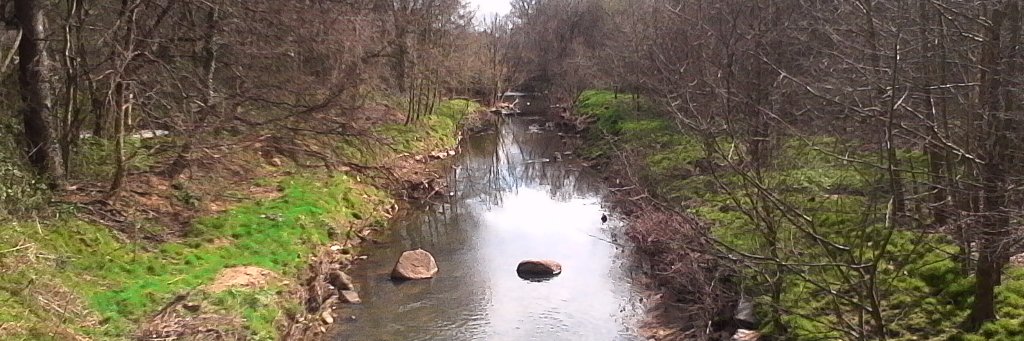 Bobby Brandon, III banner