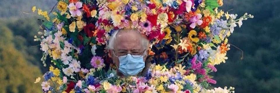 𝔧𝔢𝔫𝔫𝔦𝔭𝔥𝔢𝔯 🌚 banner