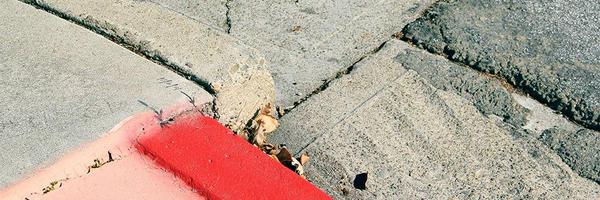 Buck65 Profile Banner