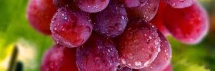 ali296101's profile banner image