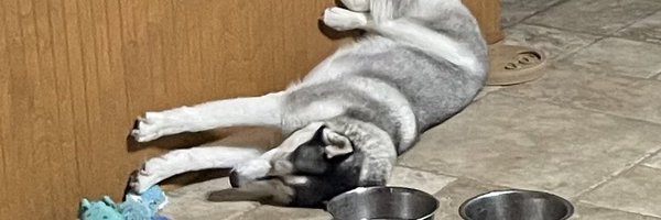 TurboUSMC Profile Banner