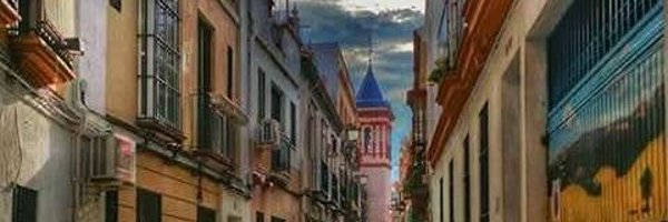 naturaldese Profile Banner