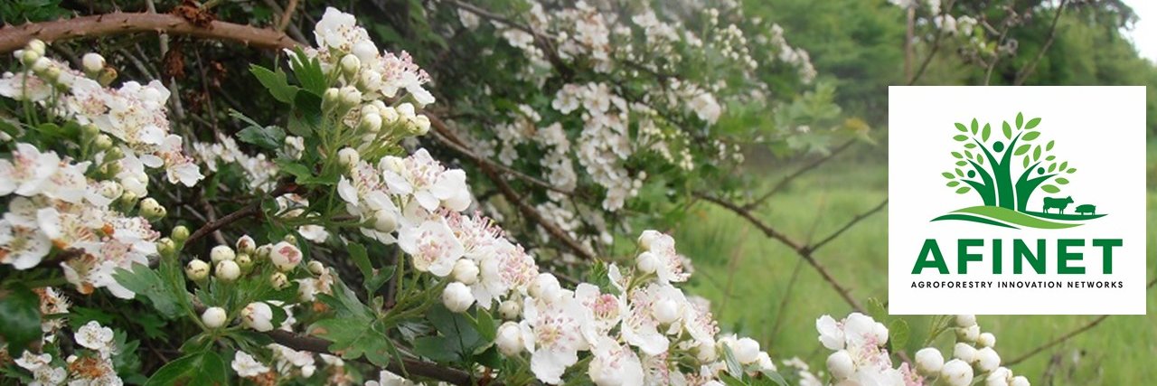 Farm Woodland Forum banner