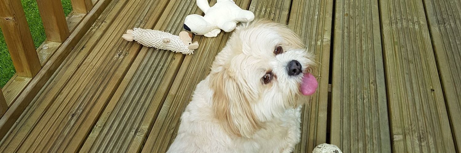 MarieGChaney1's profile banner image