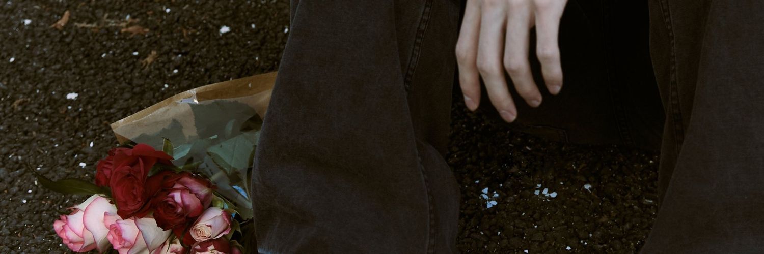 _aniisshi's profile banner image