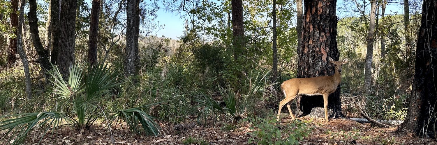 Beth Cioffoletti ☮️ 🤖 banner