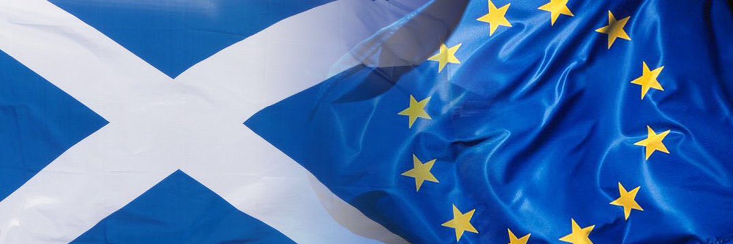 Elsewhere 💙 #FBPE banner