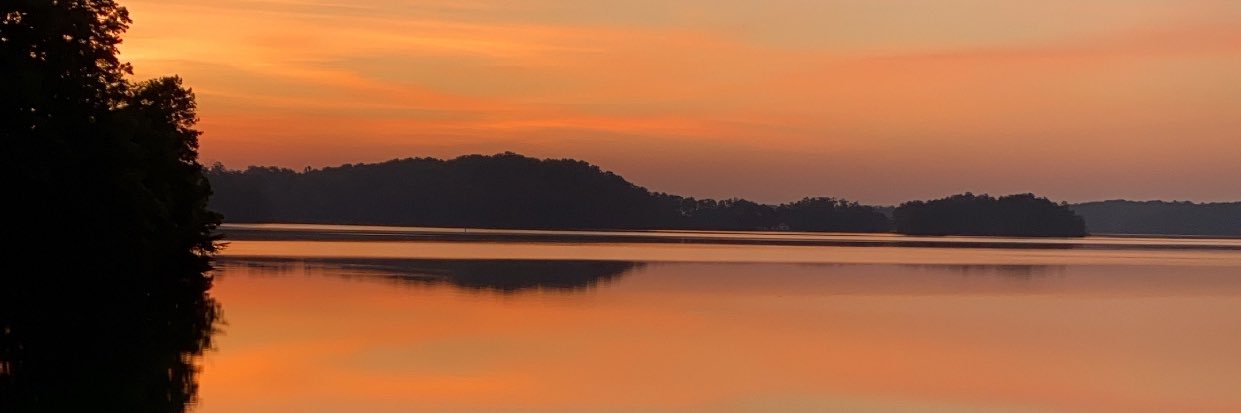 d_sarrro's profile banner image