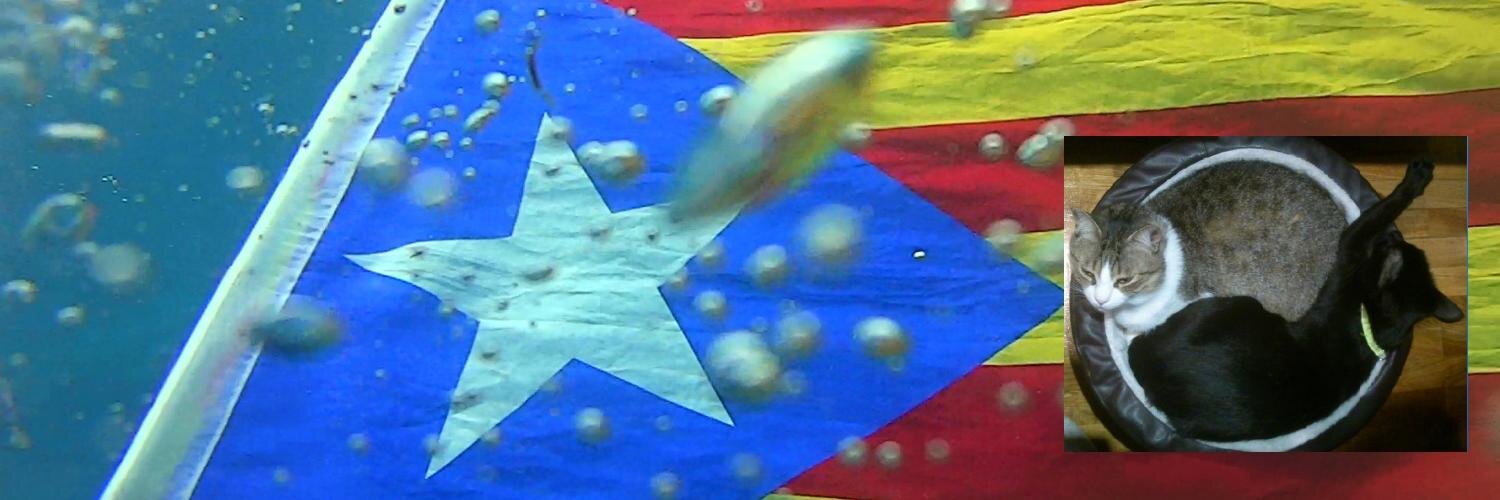 anonimmentider's profile banner image