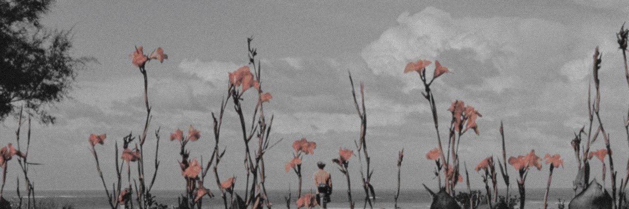 thinkboh's profile banner image
