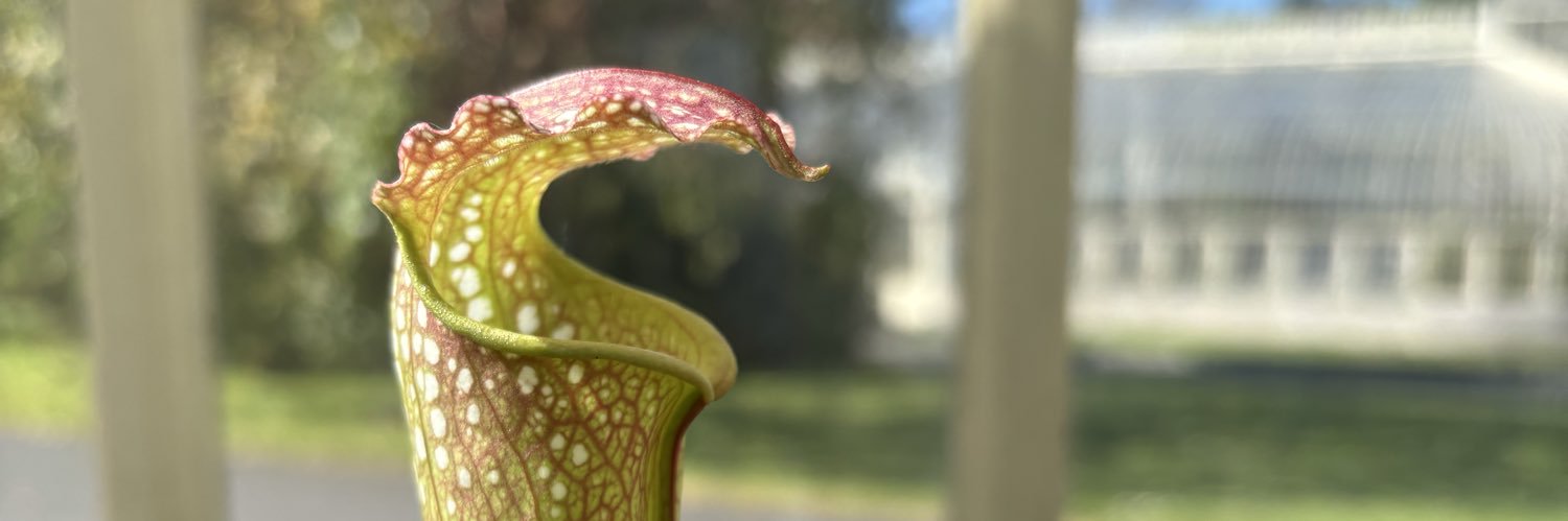 bagramon's profile banner image
