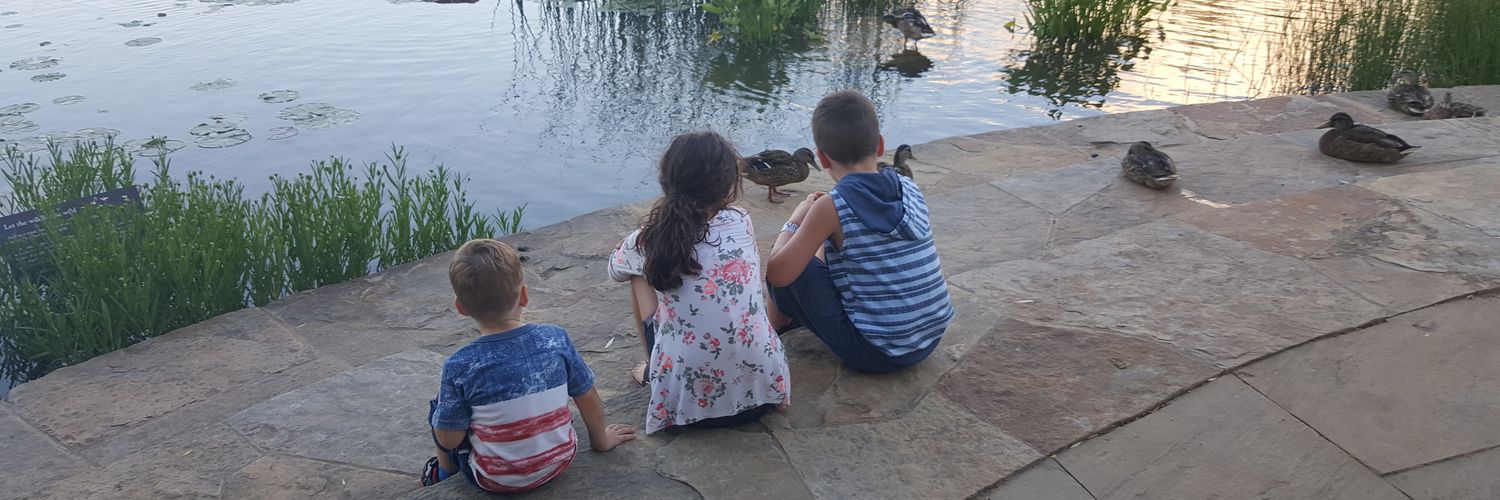 Brian Ω 🌽🫛🥩🥓📈📉 banner