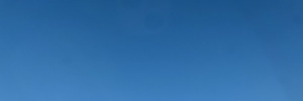 Asylumarchive Profile Banner