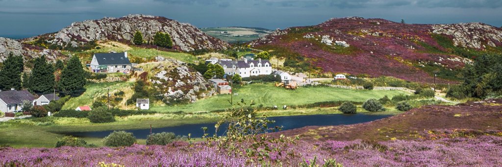 Holyhead Mail banner
