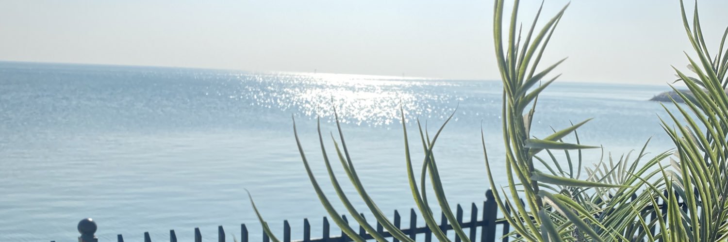 AyshaDs's profile banner image