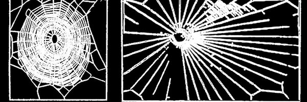 Ashpis Profile Banner