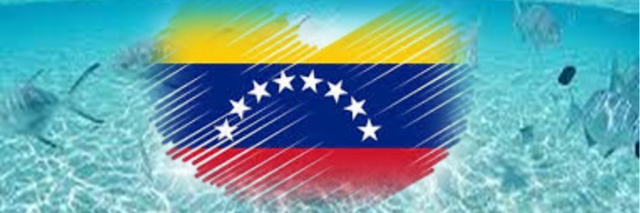 Delia Pérez banner