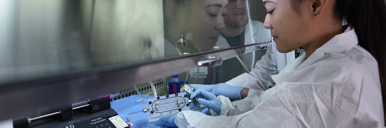 Pitt Bioengineering's banner