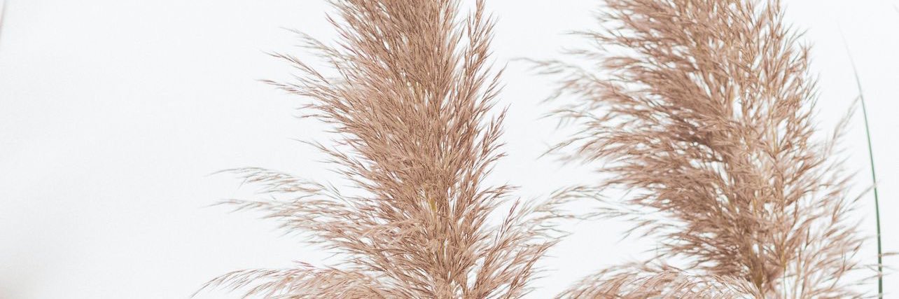 Tsparkles007's profile banner image