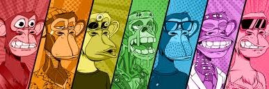 0xNemat's profile banner image